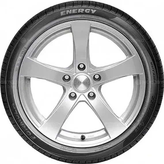 Formula Energy 225/65 R17 102H