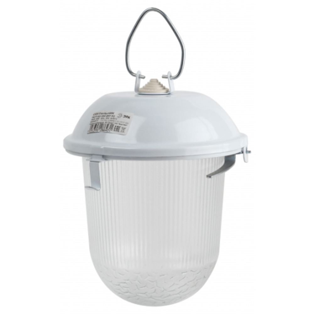 Светильник ЭРА «Желудь» НСП 41-200-001 без решетки сталь/стекло IP54 E27 max 200Вт 185х260 белый