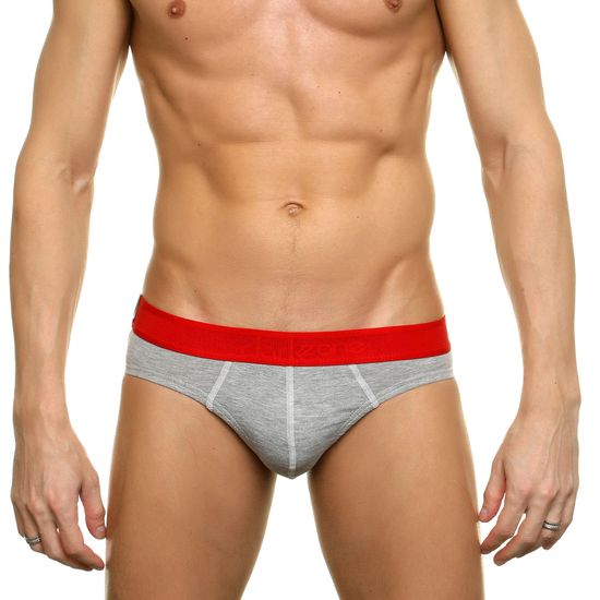 Трусы мужские слипы серые DARKZONE DZN6353