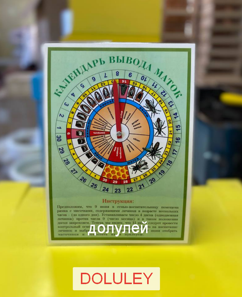 Календарь вывода маток со стрелкой