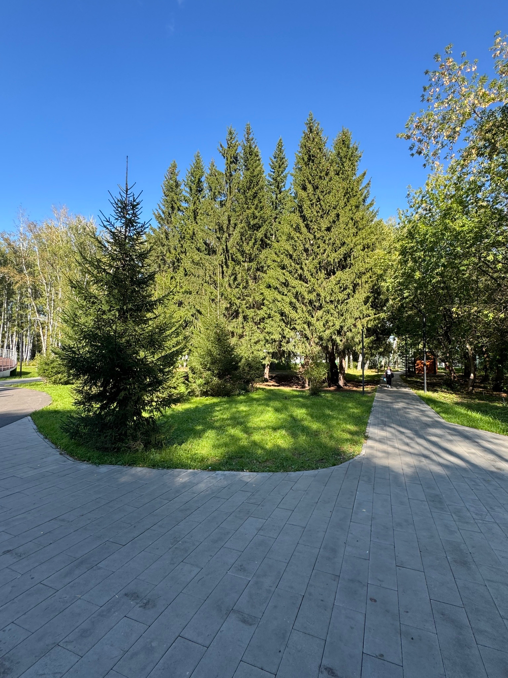 1-комнатная квартира, 36,5 м² / Чистовая отделка