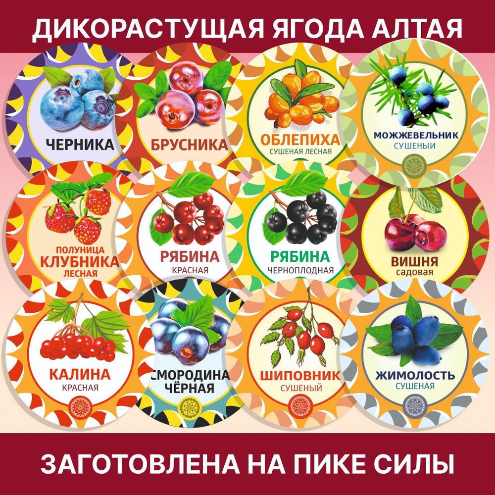Барбарис сушеный.
