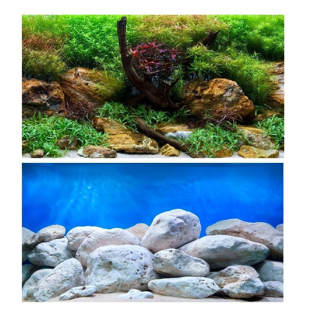 Фон двухсторонний ВОДНЫЙ САД / ЯРКИЕ КАМНИ 60см*124см