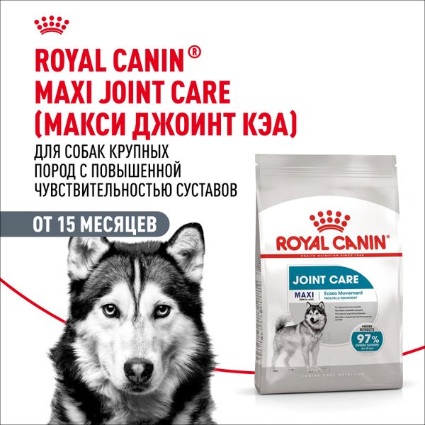Сухой корм Royal Canin Maxi Joint Care для взрослых собак крупных размеров с повышенной чувствительностью суставов