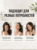 ESTHETIC HOUSE Набор Шампунь для волос CP-1 Cool Mint и Спрей для кожи головы CP-1 Scalp Tincture, 2х100мл