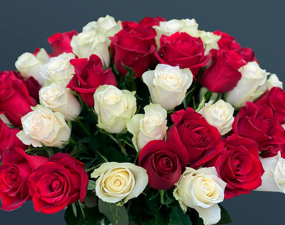 Розы 51 шт