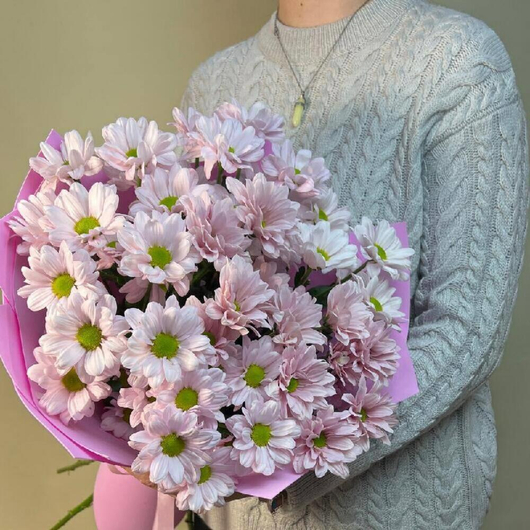 Букет из 7 нежных розовых ромашек кустовых хризантем в упаковке фоамиран