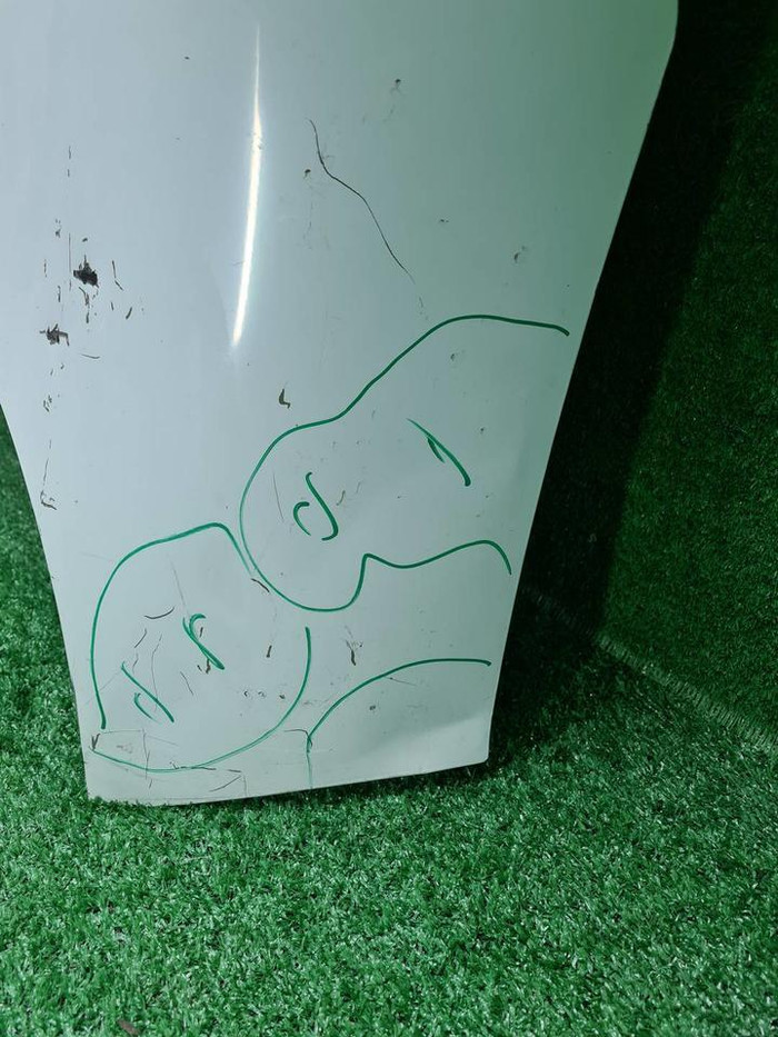 Капот Zeekr 007 (2023-н.в.)