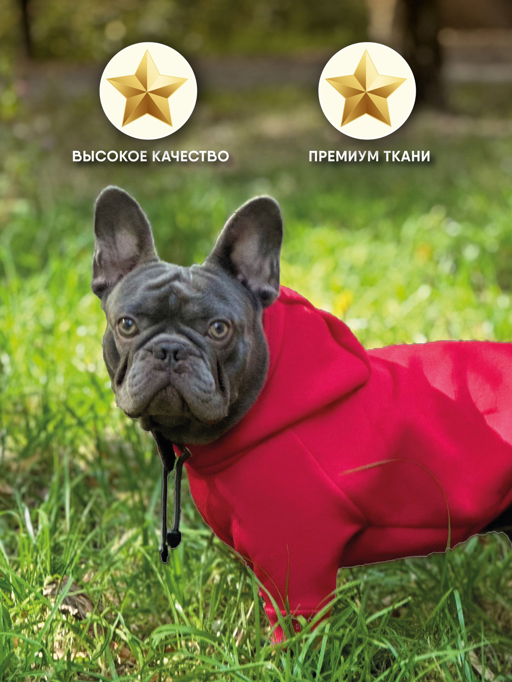 Толстовка для собак пород французского бульдога, мопса, голубой,M