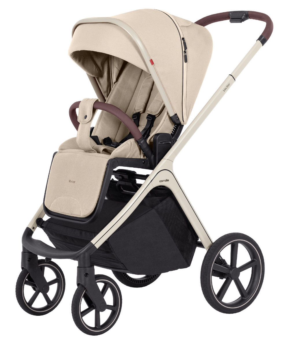 Коляска 2 в 1 Carrello Vector CRL-6550