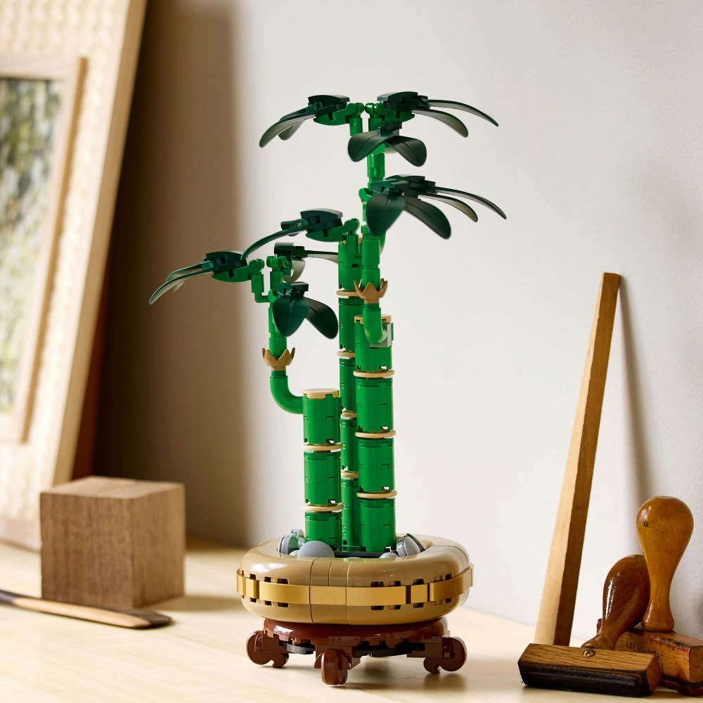 LEGO Botanicals - Драцена сандера 10344