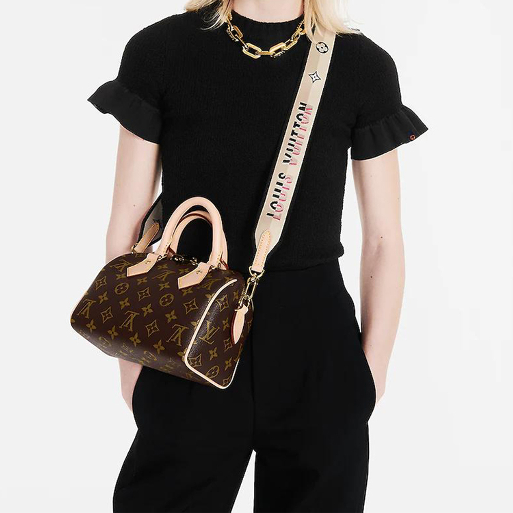 Сумка LOUIS VUITTON Speedy 20 Logo, M45957