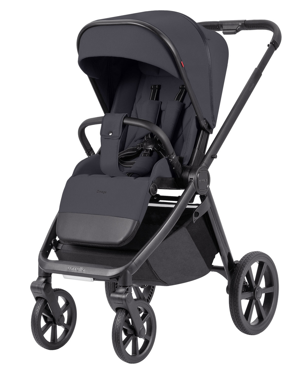 Коляска 2 в 1 Carrello Omega+ CRL-6540/1