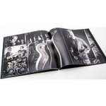 Demons & Wizards / III (Limited Edition)(2CD)
