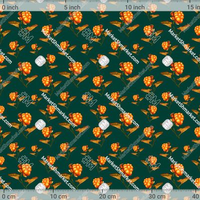 Морошка на зелёном крупная by Sushina.Angela 417 DPI