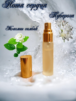 СвеТLана Mr. Newl C&M055-01 Наливная парфюмерия женская 10 мл