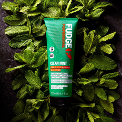 Fudge Clean Mint Shampoo - шампунь для жирных волос /   250  ml  / GTIN 5031550000672