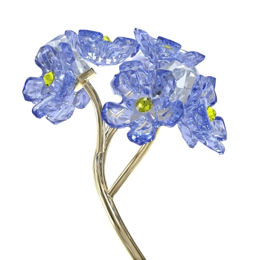 FLORERE:FORGET-ME-NOT