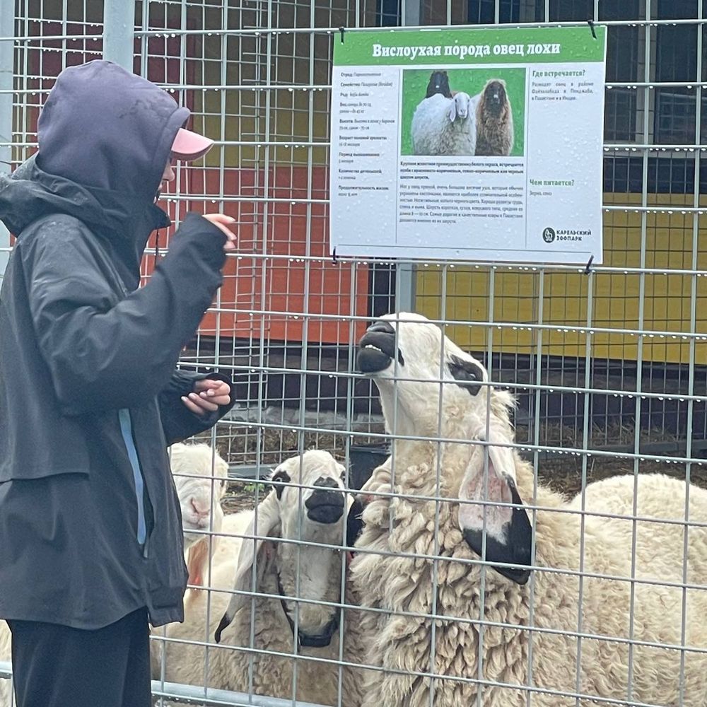 Худи Смерч Ман темно-серый