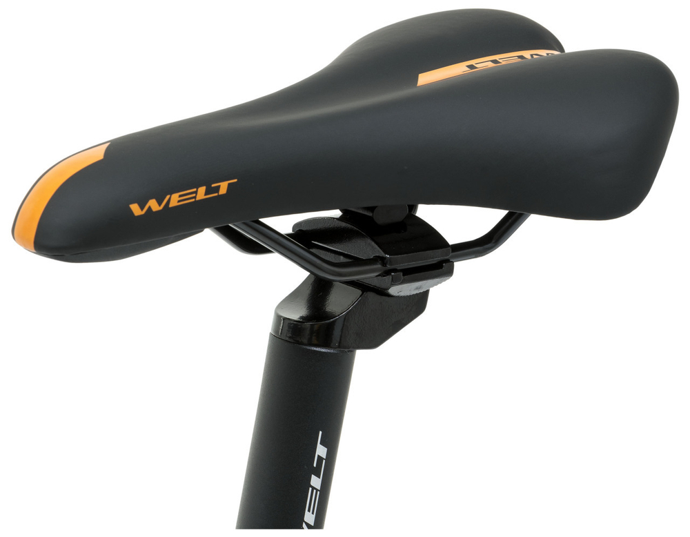 Горный велосипед Welt Ridge 1.1 D 29 (2024)