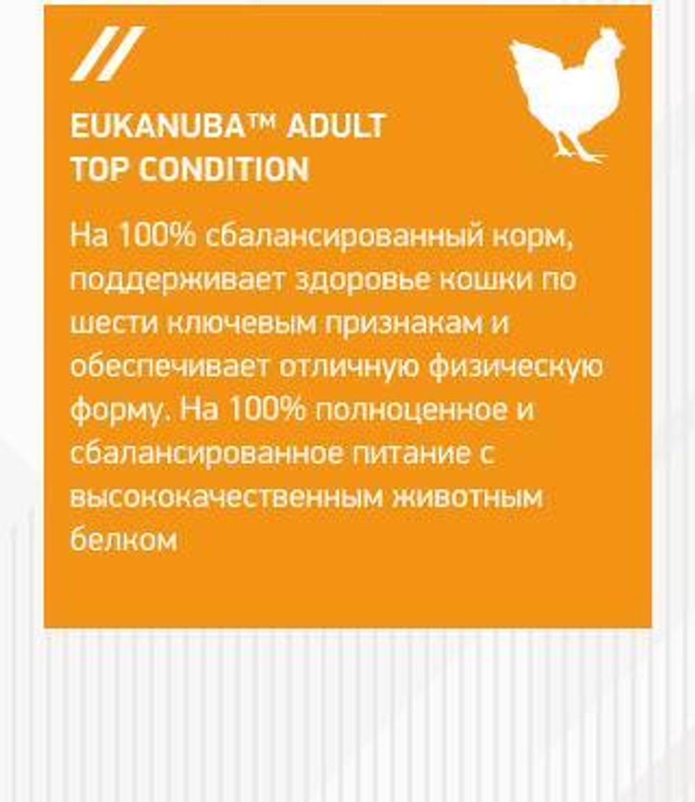 Eukanuba Adult Top Condition сбалансированный сухой корм для кошек 10 кг