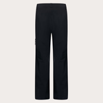 Штаны для сноуборда OAKLEY Unbound Gore-Tex Shell Pant 2.0 Men's