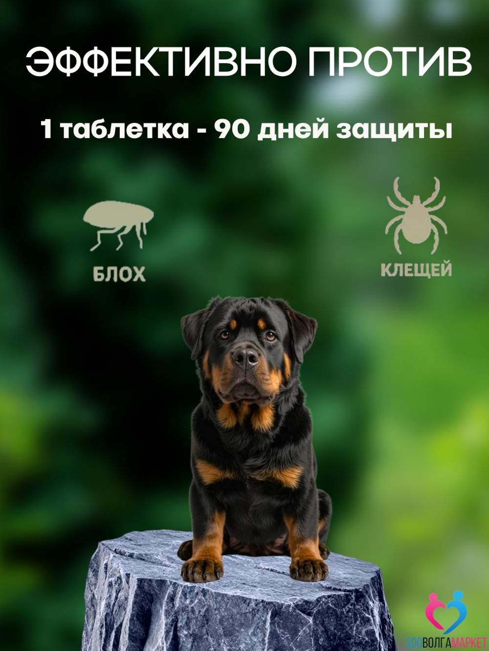 Бравекто (Bravecto) 1000 мг жевательная таблетка для собак весом 20-40 кг, против блох и клещей