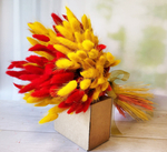 Букет сухоцветов из лагуруса красного и желтого