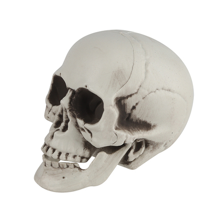 Декоративное украшение Череп 11,5*9*8,5 см.