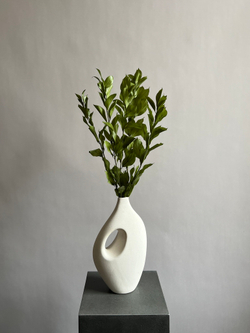 Рускус садовый стабилизированный зеленый