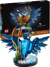 Конструктор для взрослых Icons 10331 Птица зимородок