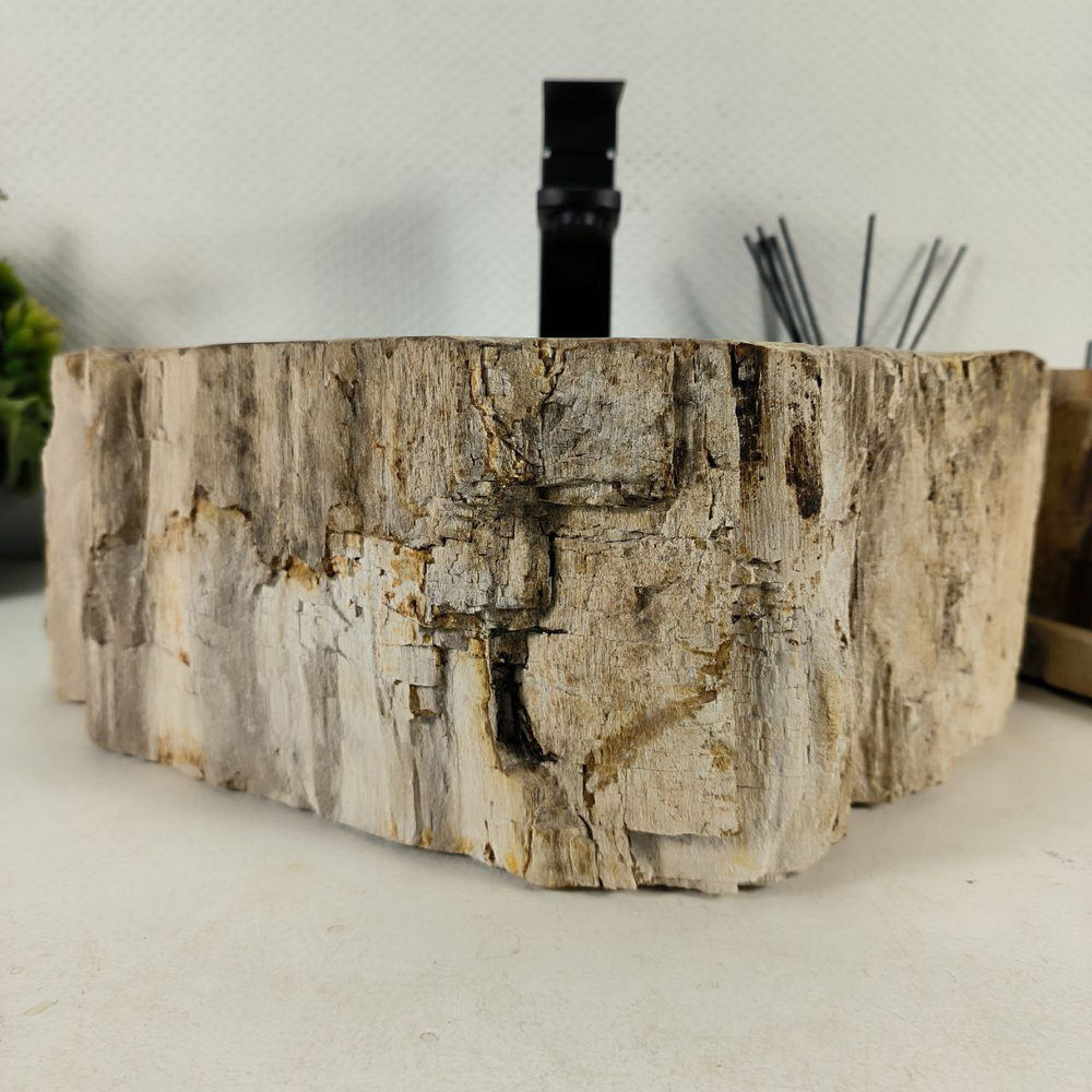 Раковина из окаменелого дерева OD-64490 44*37*15 0175