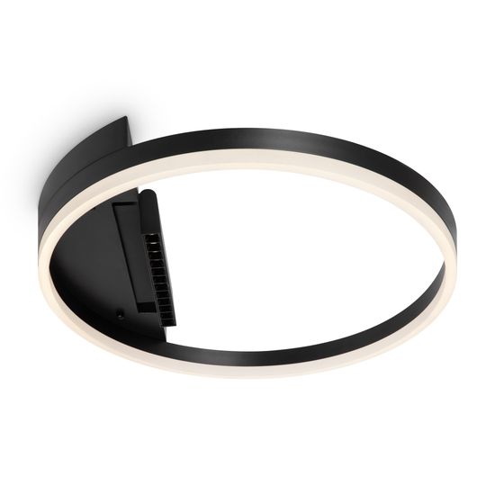 Потолочный светильник Freya FR6084CL-L68B