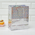 Пакет бумажный 18*23+10см с ручками Голография микс MG213-214