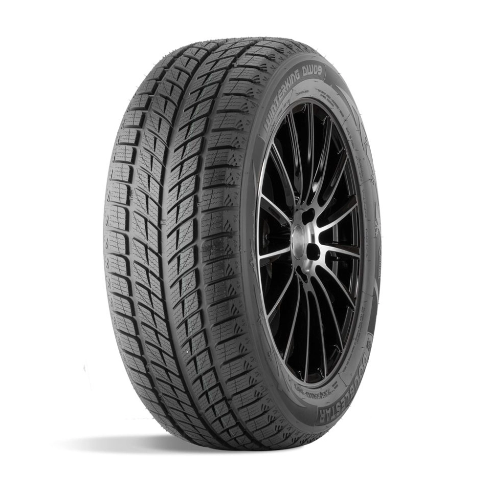 Зимняя шина DoubleStar DW09 (215/45 R17 91H)