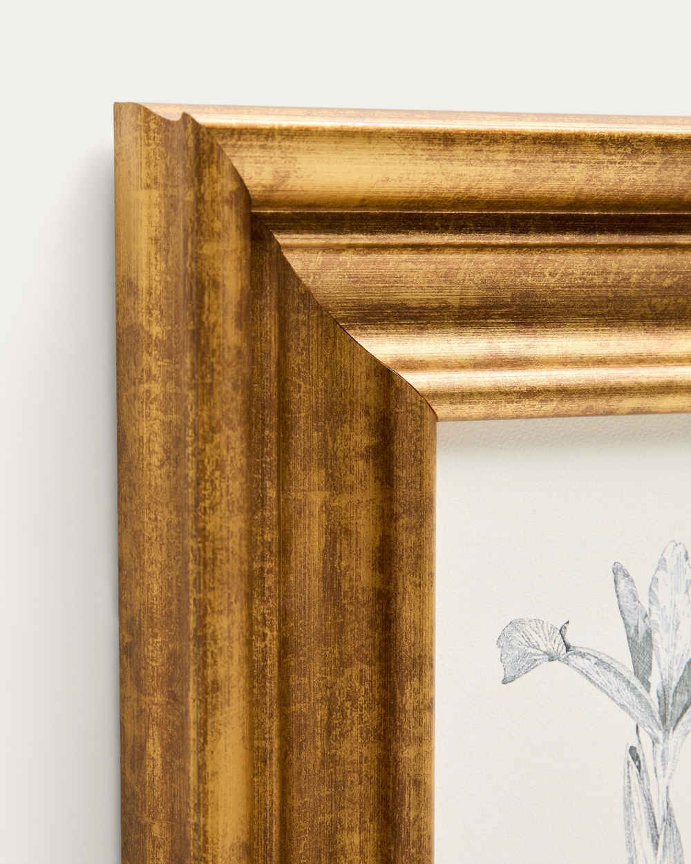 Картина Yalira с ботанической иллюстрацией 70 x 32,8 см