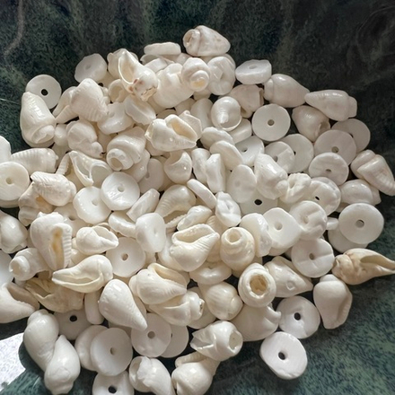 Морские ракушки. Камни для изделий на заказ. Цена зависит от вида заказанного изделия