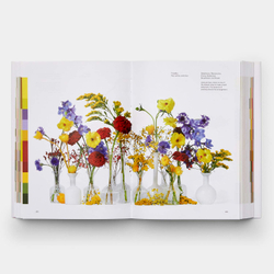 Flower Colour Theory