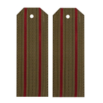 Погоны темно-оливковые 2 краповых просвета Росгвардия