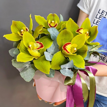 Композиция с 5 фисташковыми орхидеями