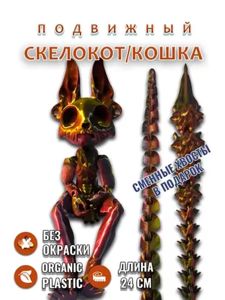 Скелет Кошки