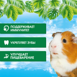 Корм сухой Happy Jungle для морских свинок 400 г