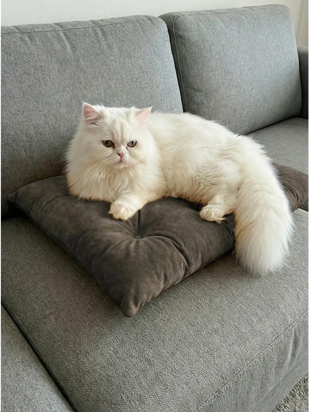 Лежанка для кошек и собак