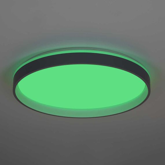 Светильник потолочный Citilux ENZO CL753513G