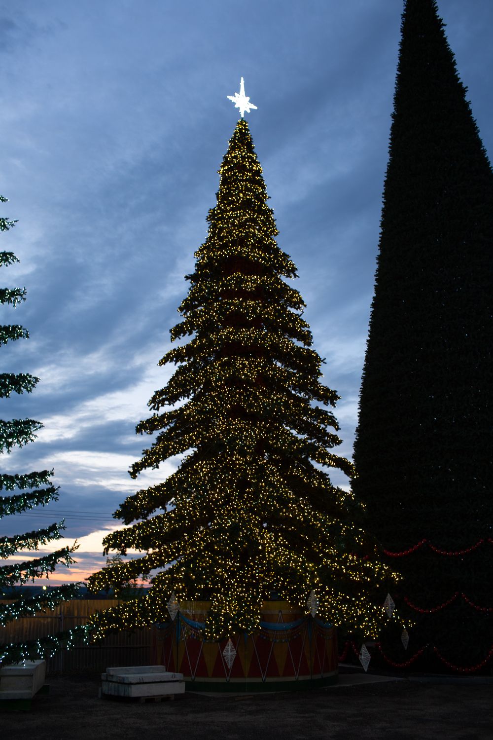 Светодинамическая елка ствольная - встроенная гирлянда: Теплый свет - "Таежная" от 11 до 21 м