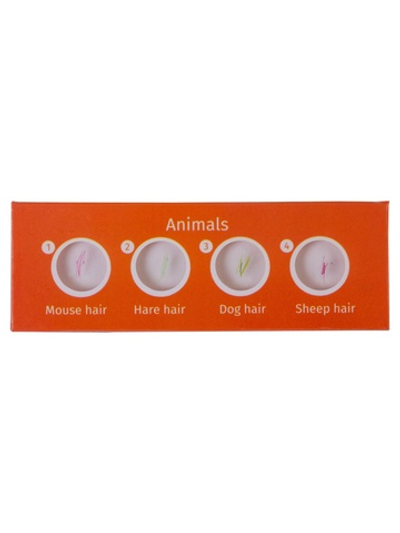 Набор микропрепаратов Levenhuk LabZZ C12, существа