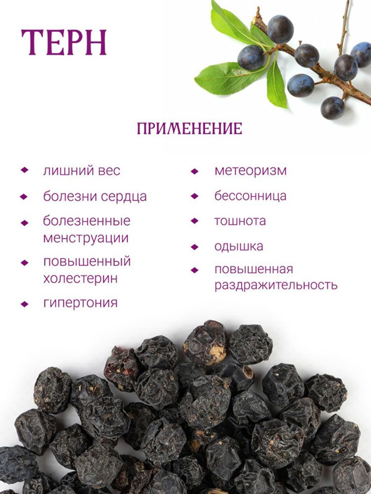 Терн ягоды
