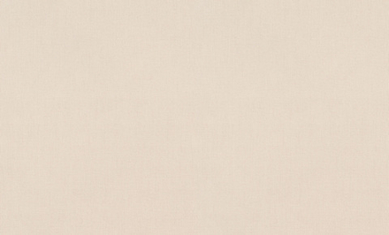 Rasch 1.06m*10m 820010 Florentine