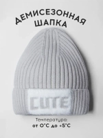 Шапка детская на осень бини