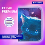 Пенал BRAUBERG 1 отделение 1 откидная планка полиэстер 21х14 см "Anime cat" (2 штуки в упаковке)